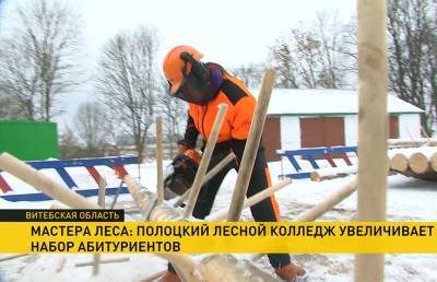 Мастера леса: Полоцкий лесной колледж увеличивает набор абитуриентов - ont.by - Полоцк