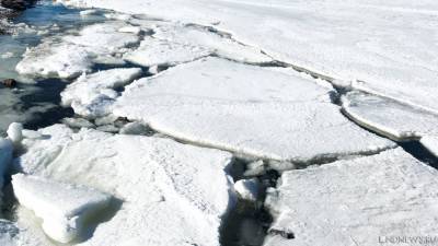 В Гренландии обнаружили растения под слоем льда в 1,5 километра - newdaynews.ru - Гренландия - штат Вермонт