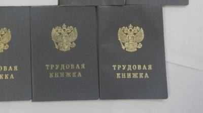Специалисты Роструда разъяснили процедуру восстановления утерянной трудовой - nation-news.ru