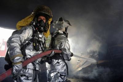 Пожарные эвакуировали 12 человек из горящей девятиэтажки в Новосибирске - novos.mk.ru - Новосибирск - Новосибирская обл.
