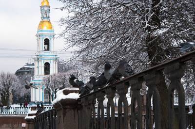 В Петербурге постепенно холодает - neva.today - Санкт-Петербург