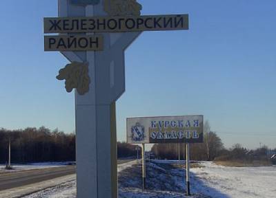 Мать из Курской области облила бензином и подожгла 8-летнего сына - province.ru - Курская обл.