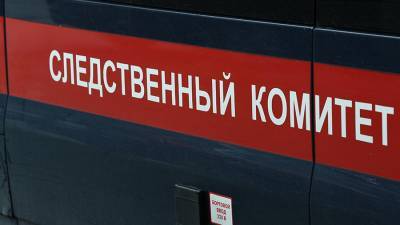 В Курской области скончался облитый бензином и подожженный матерью ребенок - iz.ru - Нижний Новгород - Курская обл. - Железногорск