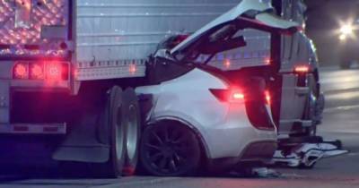Очередная резонансная авария с Tesla: электрокар, ехавший на автопилоте, влетел под трейлер (видео) - focus.ua - шт.Флорида - шт. Мичиган