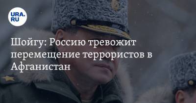 Сергей Шойгу - Шойгу: Россию тревожит перемещение террористов в Афганистан - ura.news - Сирия - Афганистан
