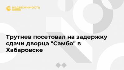 Михаил Дегтярев - Юрий Трутнев - Трутнев посетовал на задержку сдачи дворца "Самбо" в Хабаровске - realty.ria.ru - Хабаровский край - Хабаровск