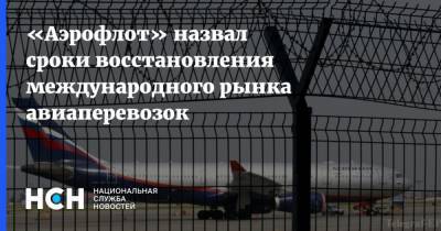 Михаил Полубояринов - «Аэрофлот» назвал сроки восстановления международного рынка авиаперевозок - nsn.fm
