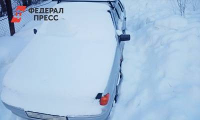 Полиция нашла мародера из Магнитогорска, который орудовал на трассе в буран - fedpress.ru - Челябинская обл. - Магнитогорск