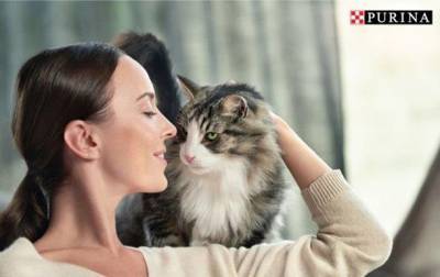 Прекрасні новини від Nestlé Purina®: обійняти кота тепер зможе кожен - korrespondent.net