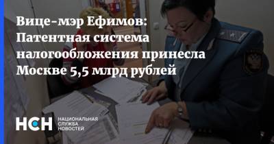 Владимир Ефимов - Вице-мэр Ефимов: Патентная система налогообложения принесла Москве 5,5 млрд рублей - nsn.fm - Москва