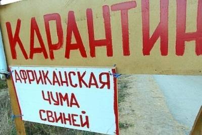 Россельхознадзор установил три ветеринарных пункта на трассах Забайкалья - chita.ru - Иркутск - Хабаровск - Забайкальский край - Чита - Забайкальск