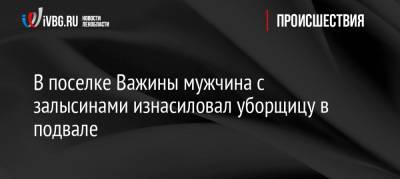 В поселке Важины мужчина с залысинами изнасиловал уборщицу в подвале - ivbg.ru - район Подпорожский - Ленобласть