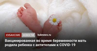 Вакцинированная во время беременности мать родила ребенка с антителами к COVID-19 - kubnews.ru - USA - шт.Флорида - Чад