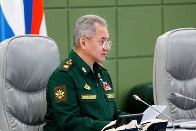 Сергей Шойгу - Шойгу оценил идею создания Армии Турана - lenta.ru - Турция