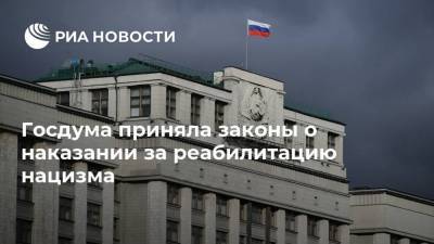 Вячеслав Володин - Ирина Яровая - Госдума приняла законы о наказании за реабилитацию нацизма - ria.ru - Москва