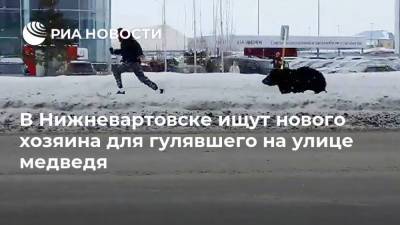 В Нижневартовске ищут нового хозяина для гулявшего на улице медведя - ria.ru - Ханты-Мансийск - Югра - Нижневартовск