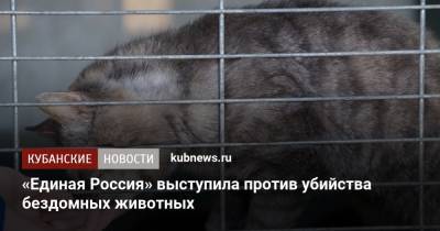 Андрей Турчак - «Единая Россия» выступила против убийства бездомных животных - kubnews.ru