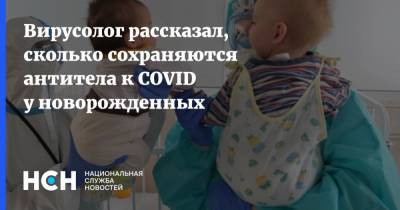 Николай Малышев - Вирусолог рассказал, сколько сохраняются антитела к COVID у новорожденных - nsn.fm - Москва - шт.Флорида - Чад