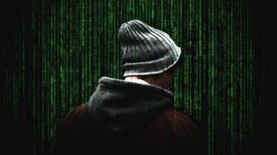 Дмитрий Баранов - В Петербурге вырос рост преступности за счет IT-мошенников - delovoe.tv - Санкт-Петербург