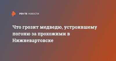 Что грозит медведю, устроившему погоню за прохожими в Нижневартовске - ren.tv - Нижневартовск