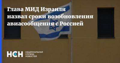 Габи Ашкенази - Глава МИД Израиля назвал сроки возобновления авиасообщения с Россией - nsn.fm - Москва - Россия - Израиль - Тель-Авив