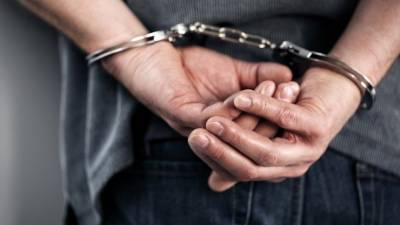 Школьный педагог задержан в Ленобласти по подозрению в развращении мальчиков - 5-tv.ru - Ленинградская обл. - Санкт-Петербург