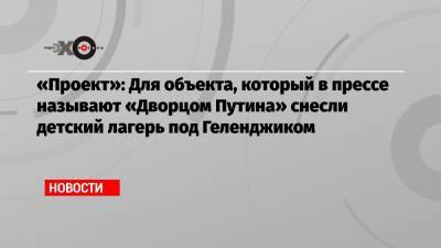 Владимир Путин - «Проект»: Для объекта, который в прессе называют «Дворцом Путина» снесли детский лагерь под Геленджиком - echo.msk.ru - Геленджик