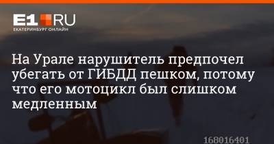 На Урале нарушитель предпочел убегать от ГИБДД пешком, потому что его мотоцикл был слишком медленным - e1.ru - Екатеринбург - Свердловская обл.