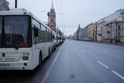 Напавший на полицейских во время акции на Невском проведет все лето в заключении - abnews.ru - Санкт-Петербург