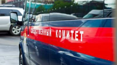 В Ярославле на девочку в лифте напал педофил - vesti.ru - Ярославская обл. - Ярославль