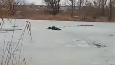 В Киеве мужчина пытался помочь тонущей собаке и сам попал в беду, видео: на место срочно выехали спасатели - politeka.net - Киев - район Оболонский