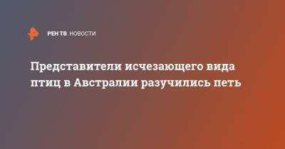 Представители исчезающего вида птиц в Австралии разучились петь - ren.tv - Австралия