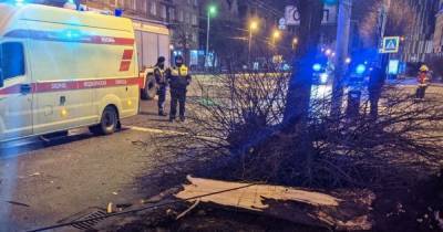 В Калининграде арестовали водителя сгоревшей на Барнаульской KIA с человеком внутри - klops.ru - Калининград