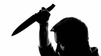 Владислава Грин - Удары ножом по собутыльнику довели петербуржца до тюремного срока - nation-news.ru - Петербурга - р-н Приморский