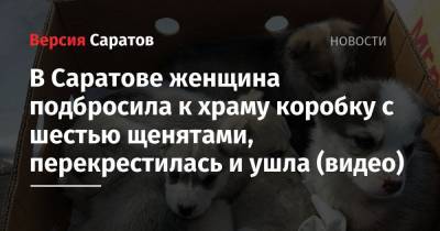 святой Петр - святой Павел - В Саратове женщина подбросила к храму коробку с шестью щенятами, перекрестилась и ушла (видео) - nversia.ru - Саратов
