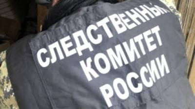 СК возбудил уголовное дело по факту отравления семьи угарным газом в Болохово - nation-news.ru - Самарская обл. - Тульская обл.