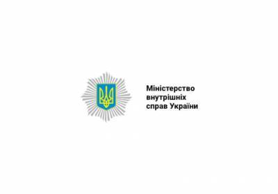 В МВД обсудили возможность внедрения системы электронного наблюдения - lenta.ua - Австрия - Грузия