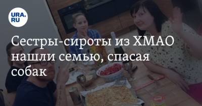 Сестры-сироты из ХМАО нашли семью, спасая собак - ura.news - Сургут - Югра
