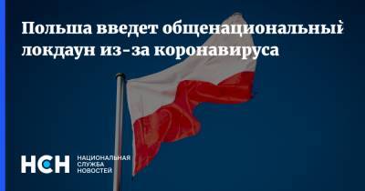 Адам Недзельский - Польша введет общенациональный локдаун из-за коронавируса - nsn.fm - Польша