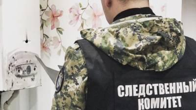 Три человека погибли из-за утечки газа в квартире в Тульской области - newinform.com - Тульская обл.