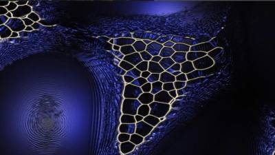 Интерактивное digital-art приключение Universum покажут на "Севкабеле" - piter.tv - Москва - Санкт-Петербург