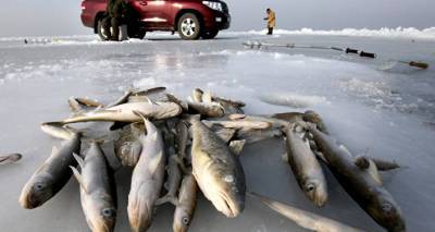 Заблудившихся на Чудском озере латвийских рыбаков вернули домой - lv.sputniknews.ru - Эстония - Рига - Латвия