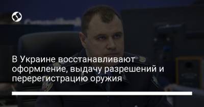 Игорь Клименко - В Украине восстанавливают оформление, выдачу разрешений и перерегистрацию оружия - liga.net