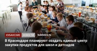 Евгений Первышов - В Краснодаре планируют создать единый центр закупки продуктов для школ и детсадов - kubnews.ru - Краснодарский край - Краснодар