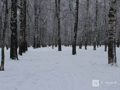 Содержание нижегородского парка Пушкина обойдется более чем в 4 млн рублей - vgoroden.ru - Швейцария