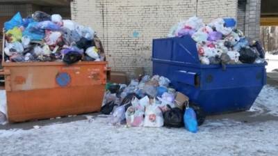 Суд заставил астраханца 40 часов убирать мусор из-за нарушения ПДД - newinform.com - Астрахань - район Икрянинский
