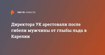 Директора УК арестовали после гибели мужчины от глыбы льда в Карелии - ren.tv - Петрозаводск - республика Карелия