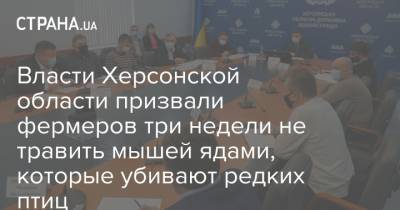 Власти Херсонской области призвали фермеров три недели не травить мышей ядами, которые убивают редких птиц - strana.ua - Херсонская обл. - Херсонская Область