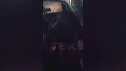Красноярский таксист помыл машину вещами клиентки - reendex.ru - Красноярск