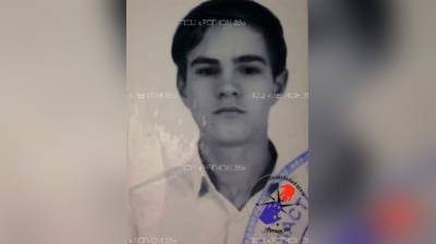 В Воронежской области пропал 16-летний парень - vestivrn.ru - Воронежская обл.